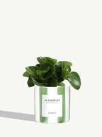 Le Généreux
