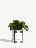 Le Généreux