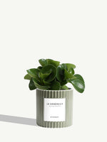 Le Généreux