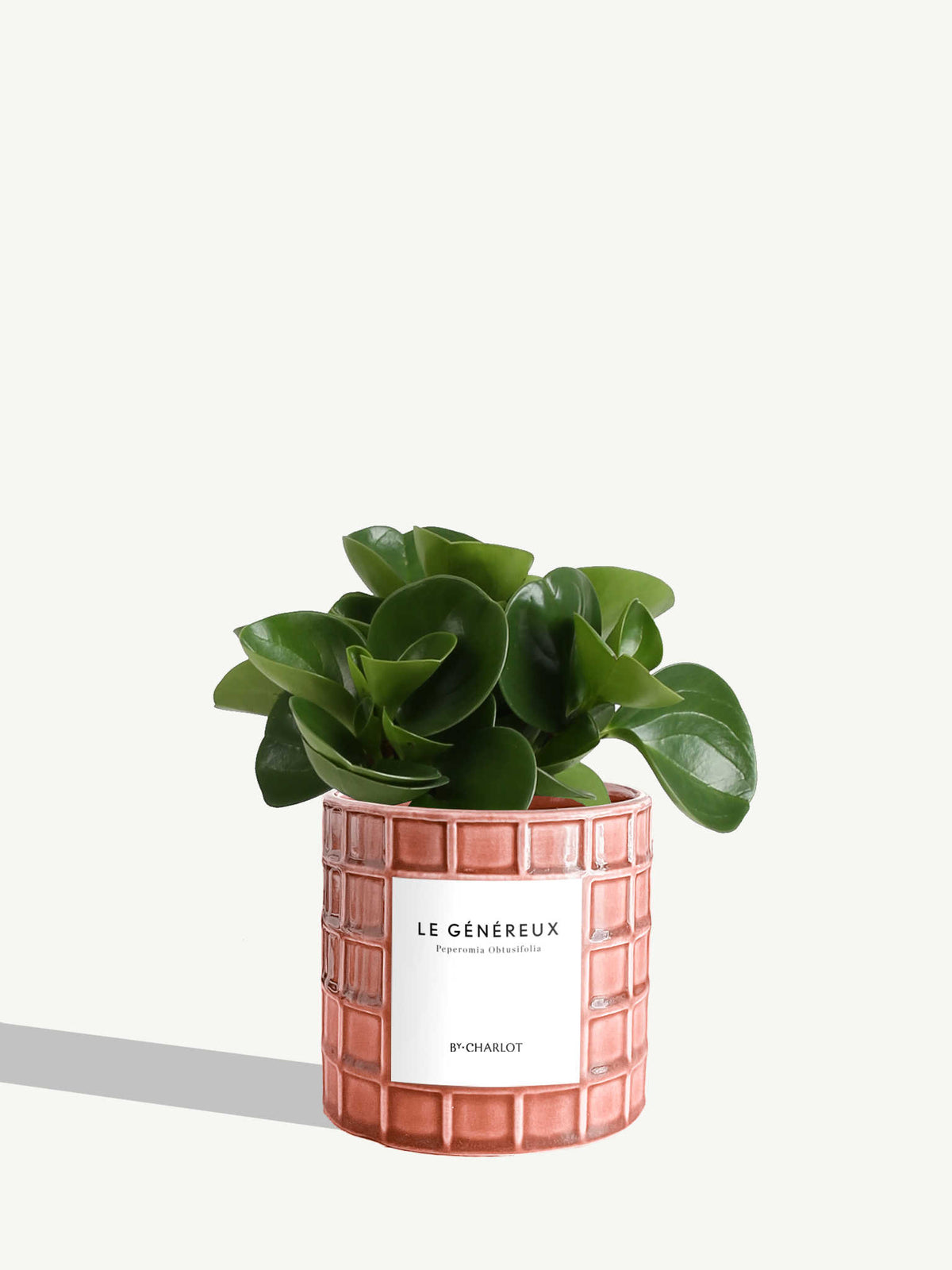 Le Généreux