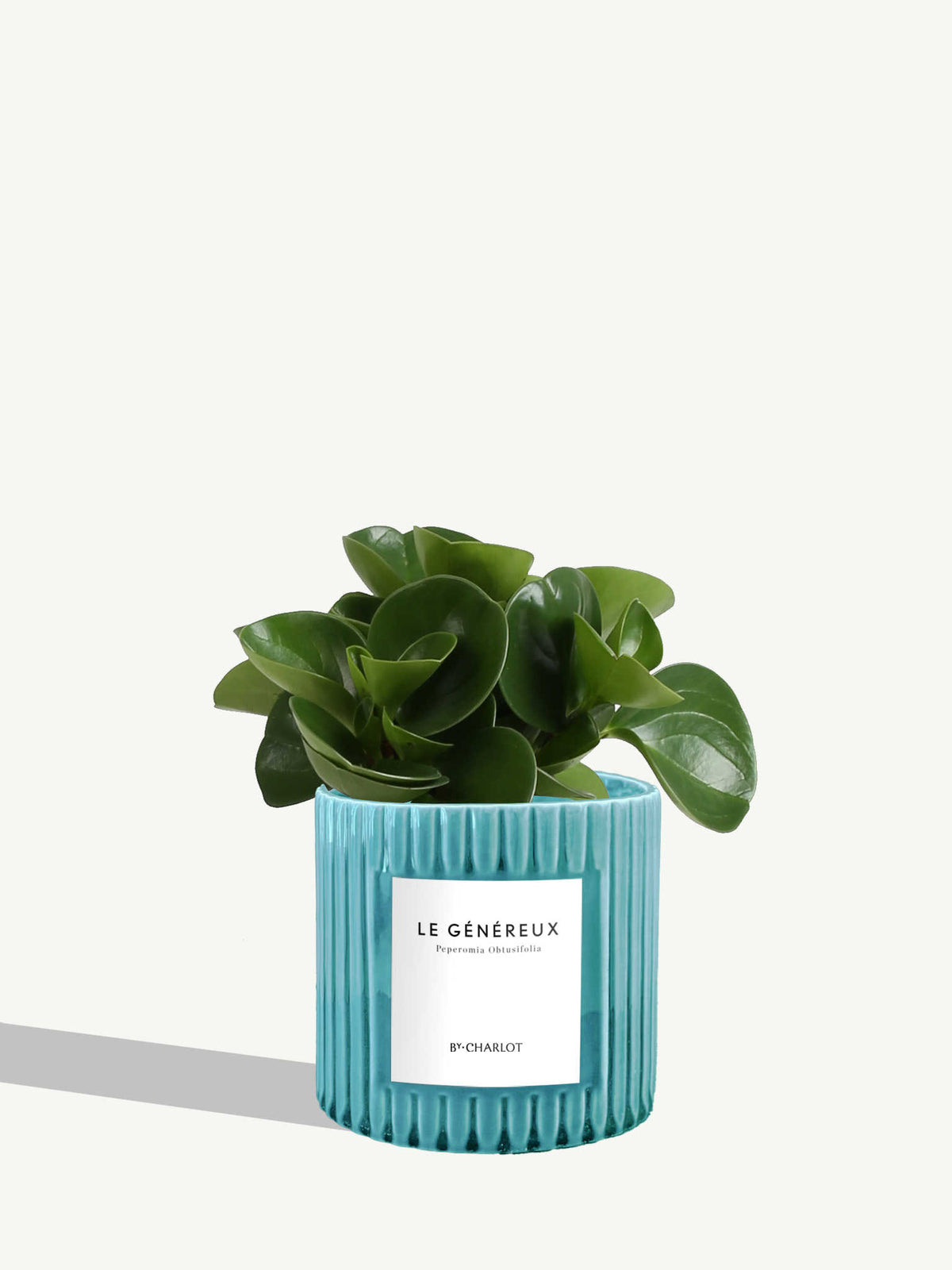 Le Généreux