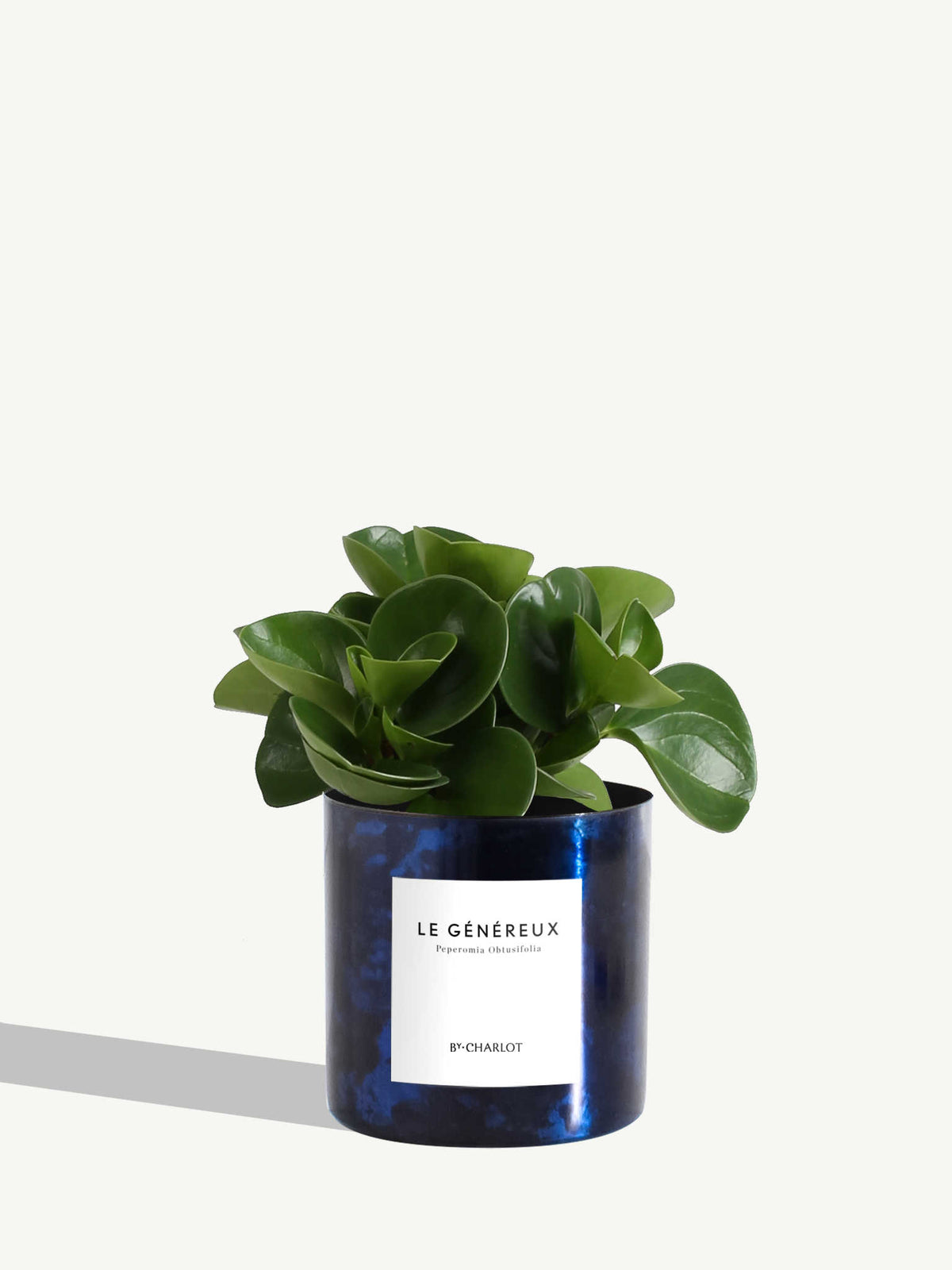 Le Généreux
