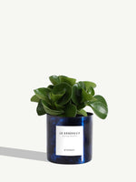 Le Généreux