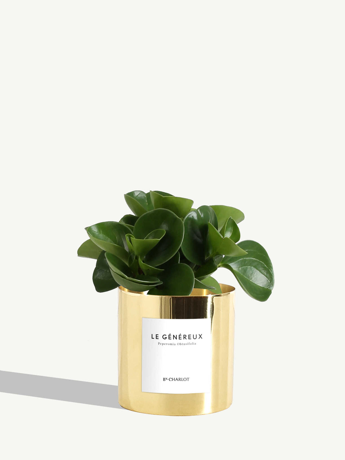 Le Généreux