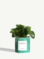 Le Généreux