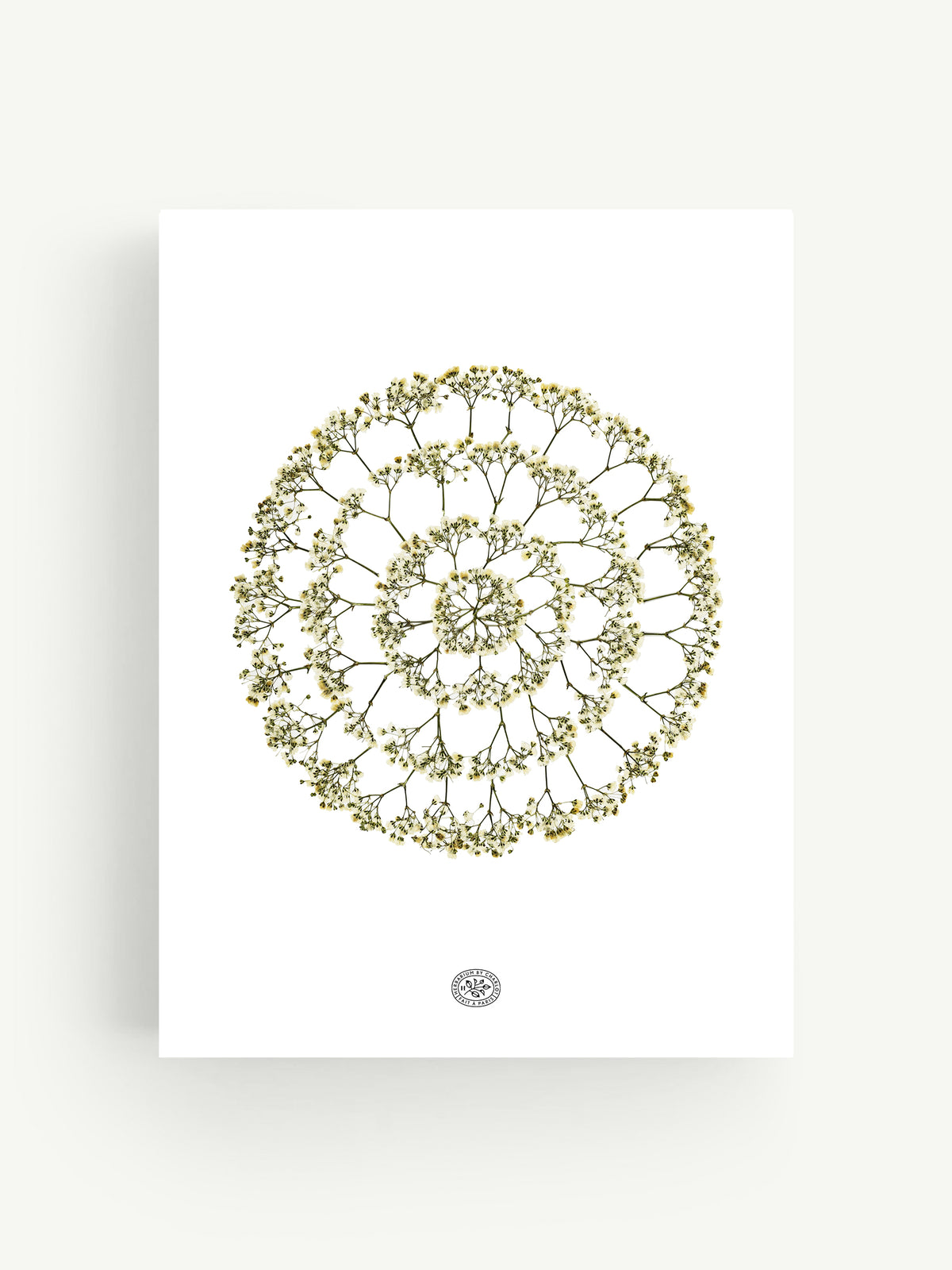 Herbier Achille
