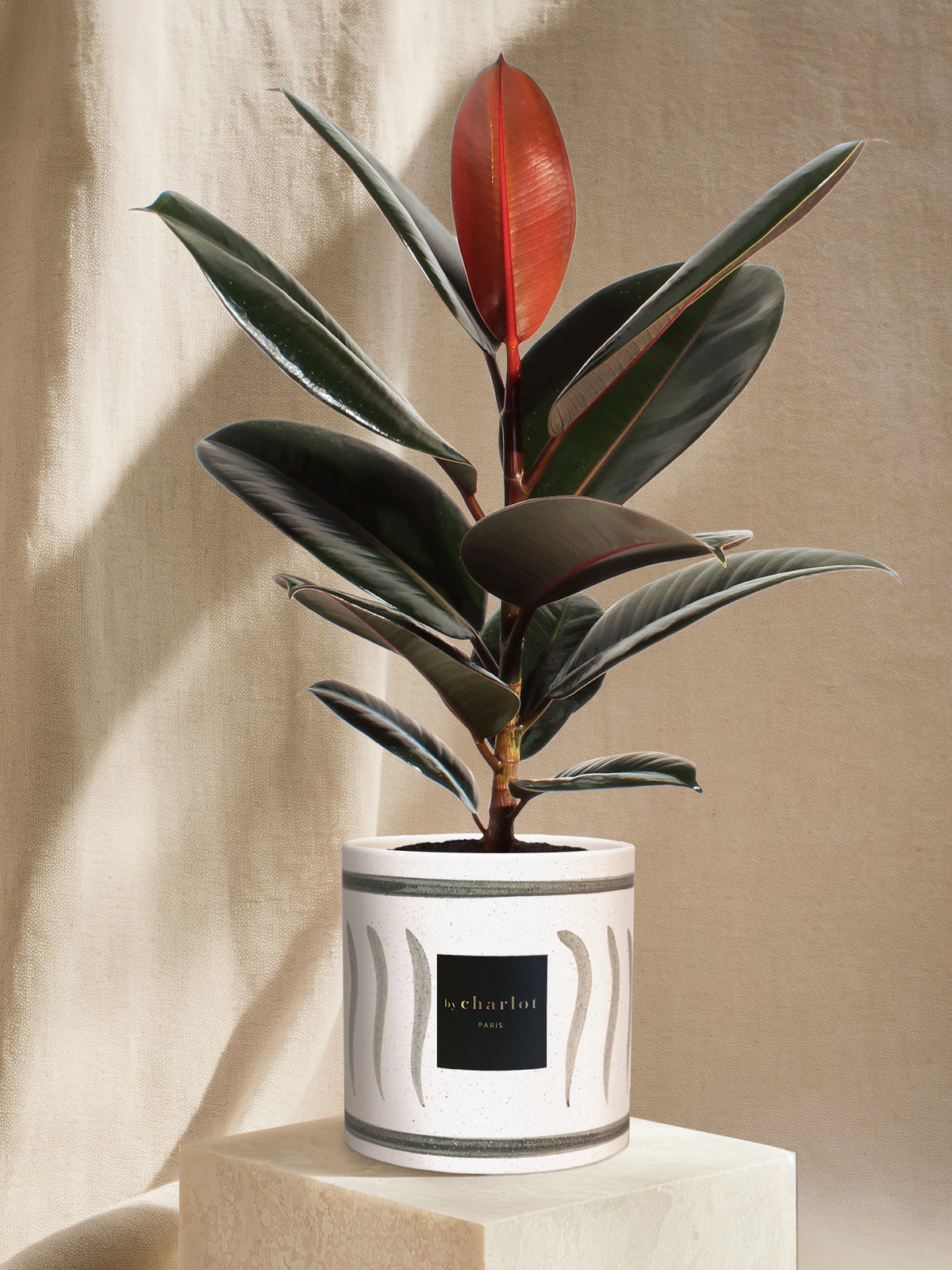 L'Élégante - Green INI CERAMIC Pot