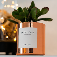 La Délicate