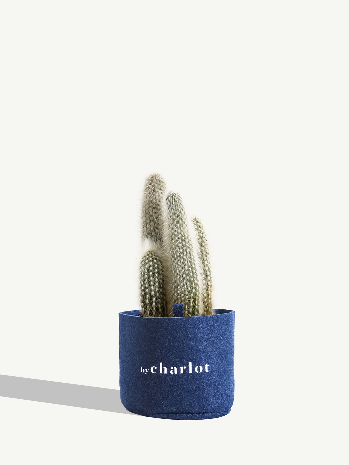 Le Chaleureux, recharge
