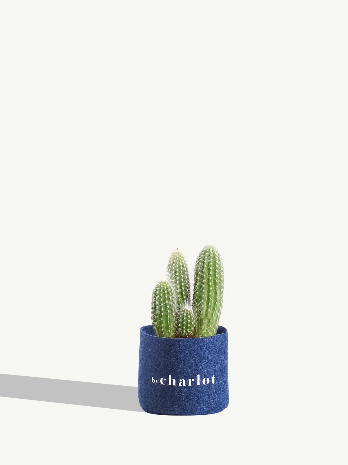 Le Chaleureux, recharge