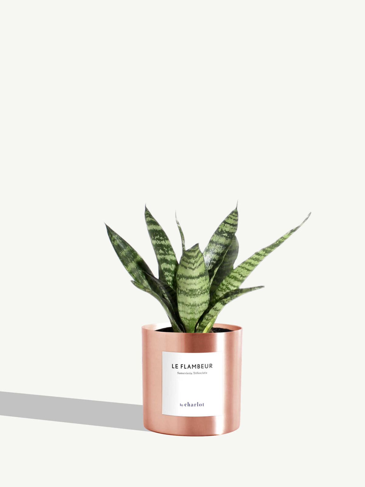 Le Flambeur