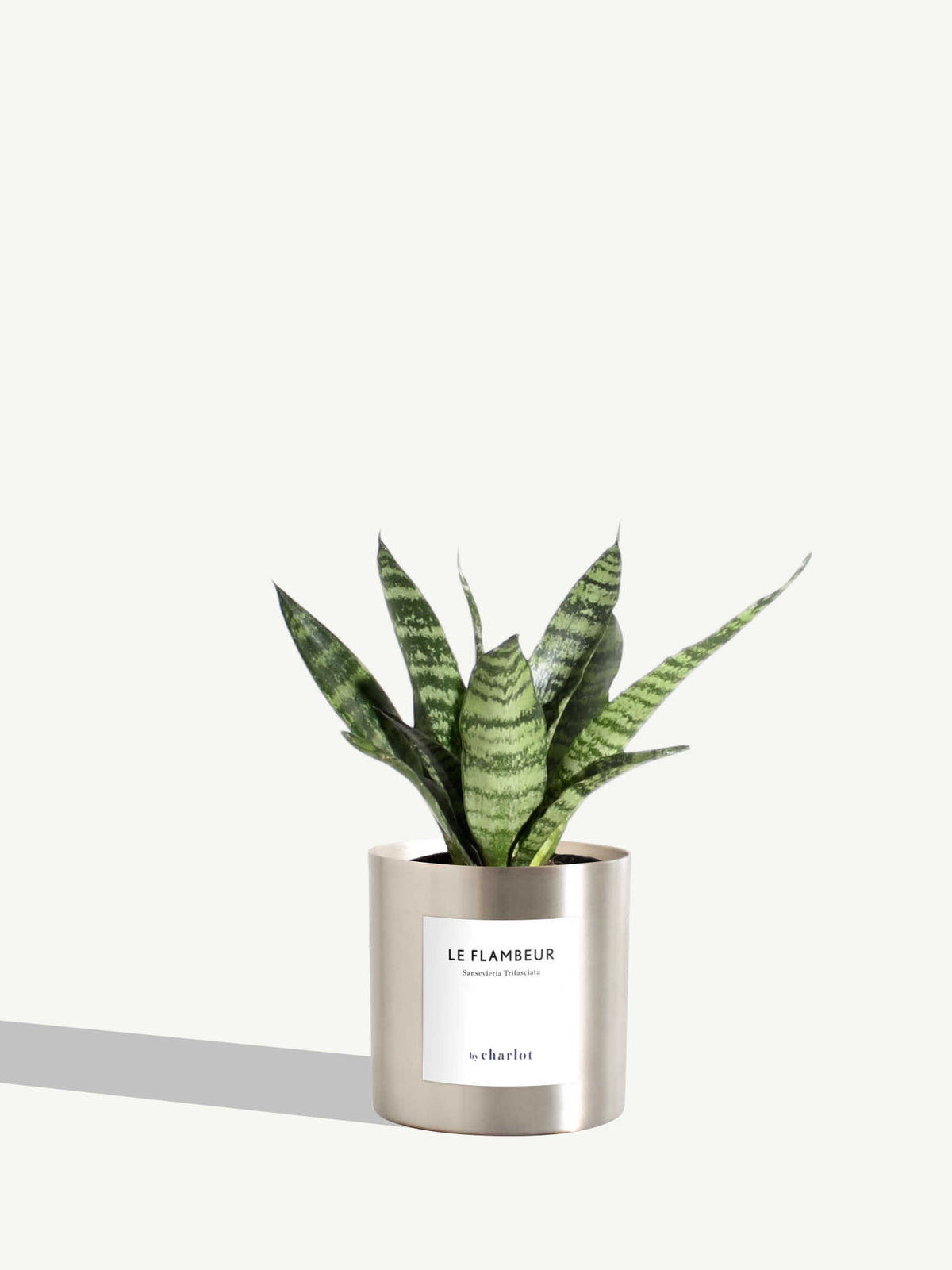Le Flambeur